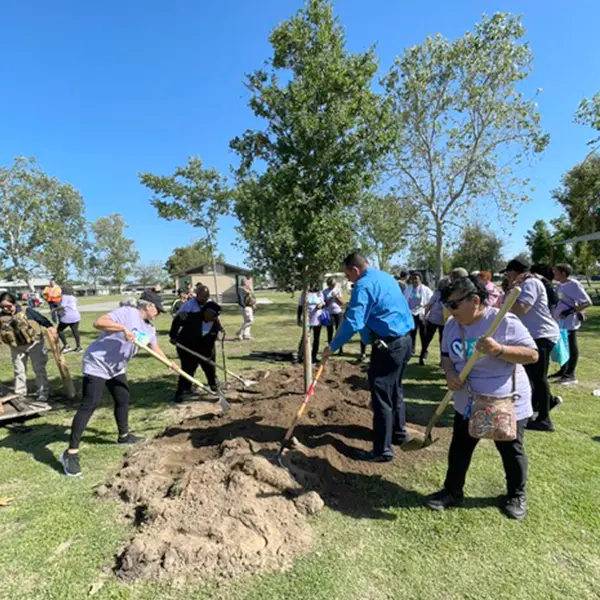 KCB Volunteers planting a tree at a rest stop