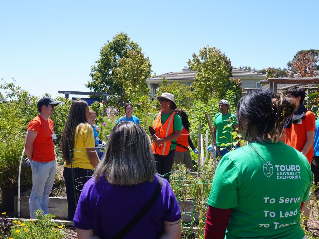 VPG volunteers gardening