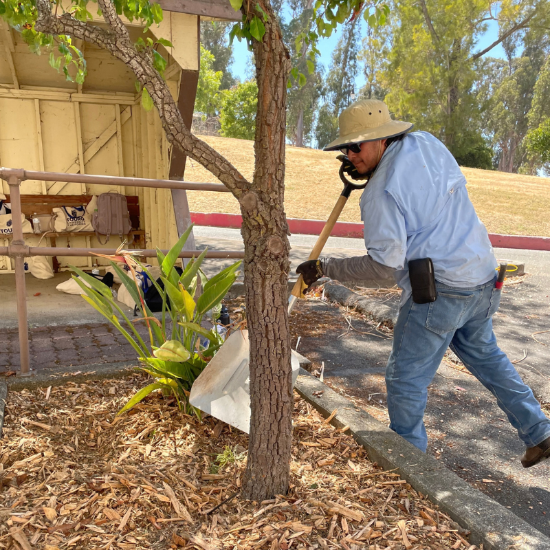 Volunteer Mulching